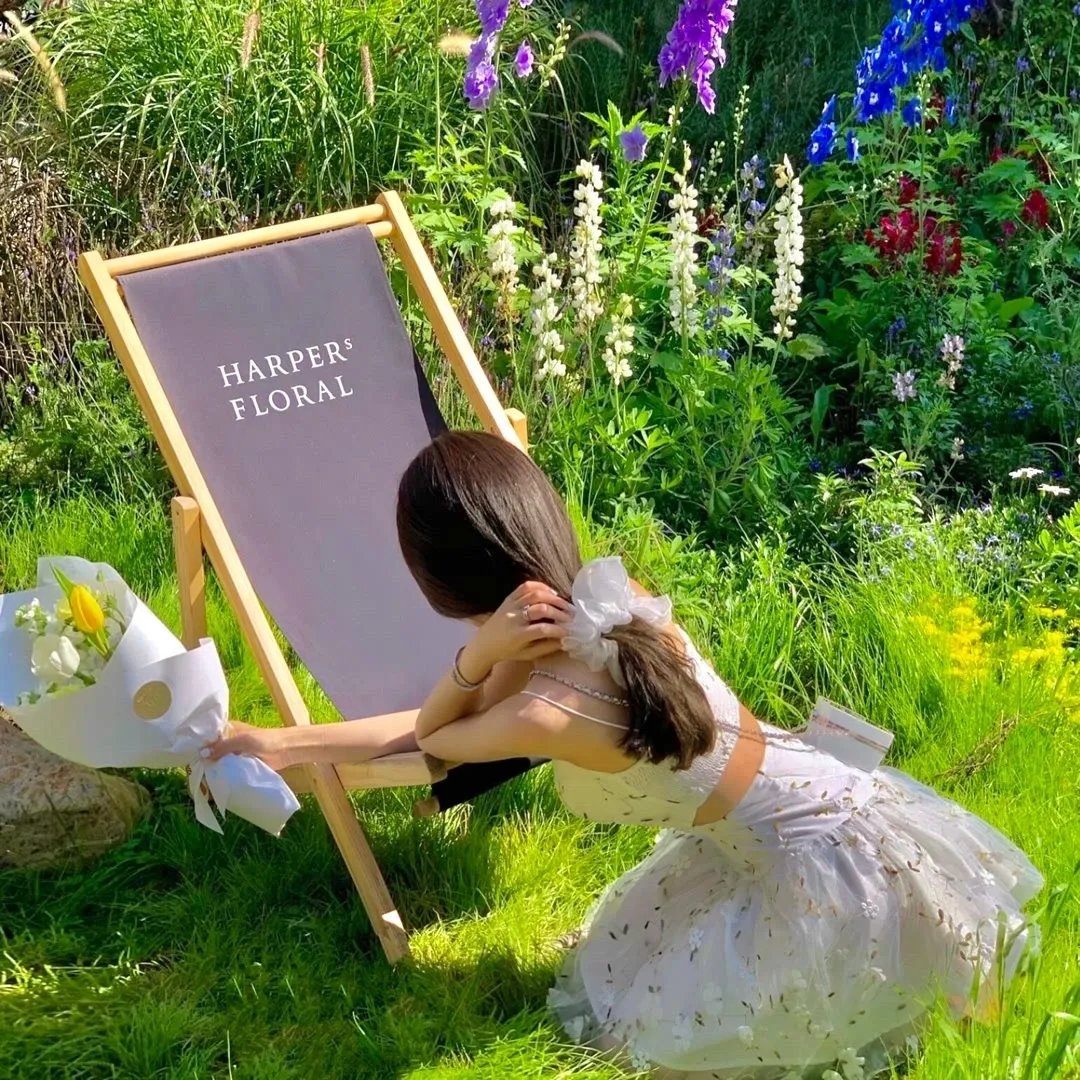 银河护卫队:圣诞特别篇